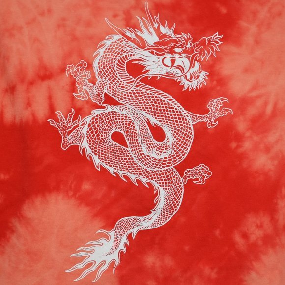 Rue21 Red Tie Dye Chinese Dragon Crop Top Medium - Picture 3 of 6